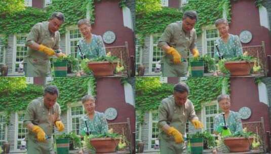 老年夫妇在院子里修剪花草高清在线视频素材下载