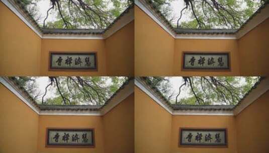 浙江普陀山慧济禅寺建筑4K实拍视频高清在线视频素材下载