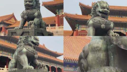 【镜头合集】狮子雕像铜像铸铁紫禁城故宫高清在线视频素材下载