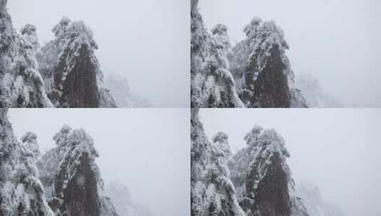 黄山 雪景 雾凇高清在线视频素材下载