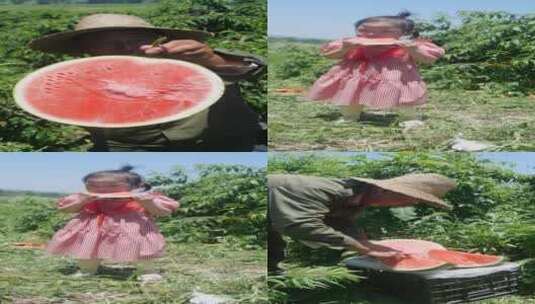 果园里吃西瓜高清在线视频素材下载