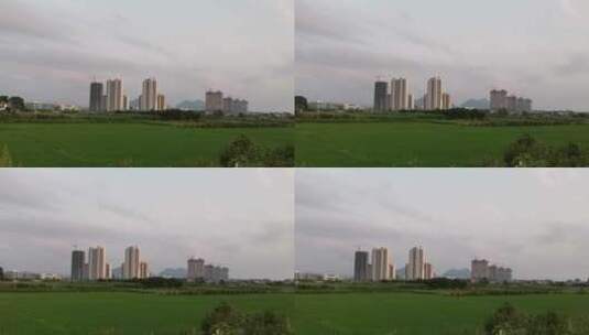 水稻种植平移镜头高清在线视频素材下载
