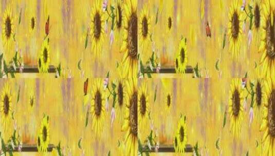 向日葵艺术 花瓣粒子高清在线视频素材下载
