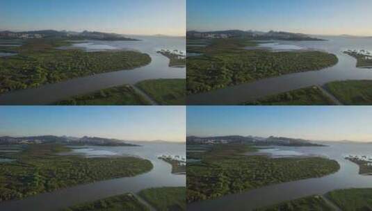 广东深圳河深圳湾红树林湿地航拍空镜素材高清在线视频素材下载