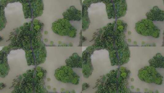 广州城市湿地公园航拍高清在线视频素材下载