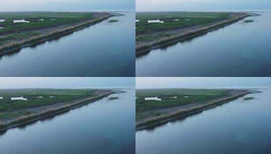 新疆博斯腾湖岸边 4K高清在线视频素材下载