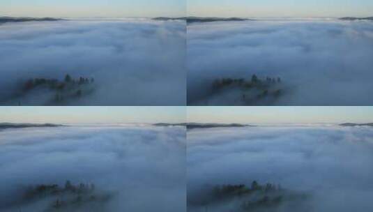 大兴安岭森林晨雾飘荡高清在线视频素材下载