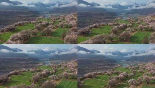 航拍桃花盛开的雅鲁藏布大峡谷风光高清在线视频素材下载
