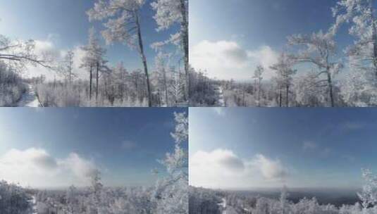 零下40度的低温航拍大兴安岭冰雪雾凇高清在线视频素材下载