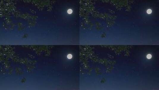 夜晚月亮水中月高清在线视频素材下载