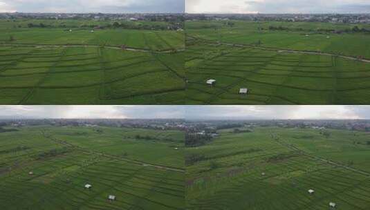农村稻田的鸟瞰图高清在线视频素材下载