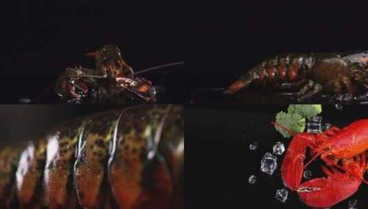 大龙虾创意视频高清在线视频素材下载