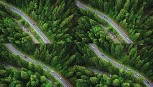 最美乡间公路森林旅游云南广西高清在线视频素材下载