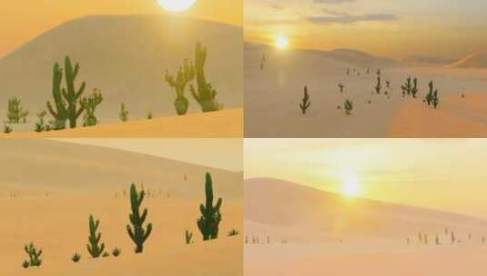 沙漠上生长的植物仙人掌视频高清在线视频素材下载