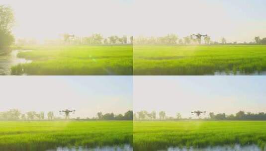 农业无人机在日出的时候进行农药喷洒高清在线视频素材下载