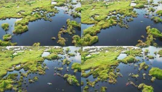 美丽中国-生态湿地高清在线视频素材下载