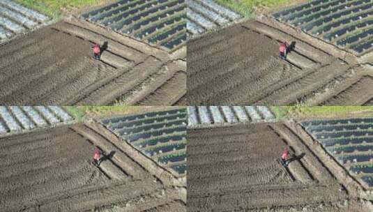 农田里农忙的农民航拍高清在线视频素材下载