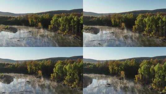 晨雾迷漫的秋季清澈森林河高清在线视频素材下载