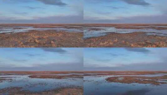 暮春的草原湿地荒野 (3)高清在线视频素材下载