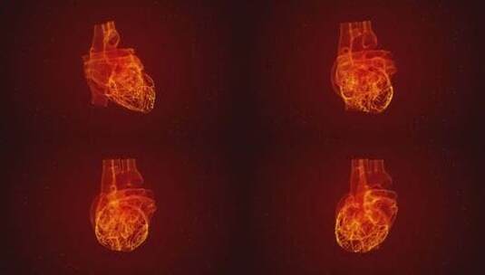 红色粒子科技心脏医学实验人体器官高清在线视频素材下载