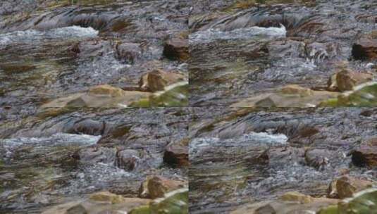小溪流水水流高清在线视频素材下载