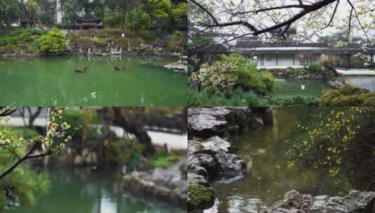 （合集）春天下雨天江南古典园林春雨风光高清在线视频素材下载