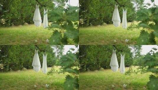 大自然的树冠：新娘礼服在橡树的拥抱中跳舞高清在线视频素材下载