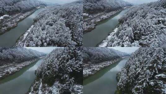 fpv穿越机航拍森林雾凇雪景溪流自然树林高清在线视频素材下载