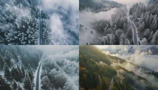 大自然雾气森林 汽车广告宣传片高清在线视频素材下载