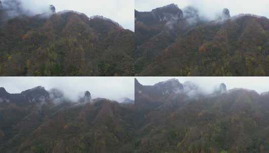 漫山红叶巴中光雾山附近高清在线视频素材下载