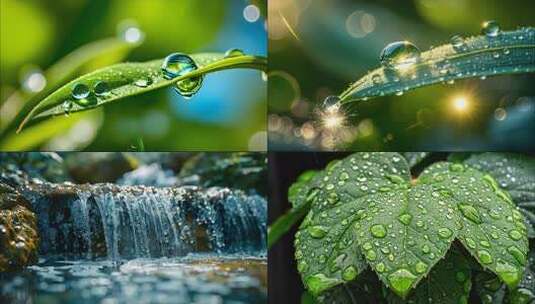 大自然流水纯净水水源森林风景青苔山泉水a高清在线视频素材下载