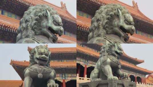 【镜头合集】狮子雕像铜像铸铁紫禁城故宫高清在线视频素材下载