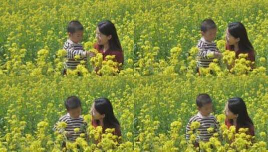 中国女性和小朋友在油菜花田地中玩耍高清在线视频素材下载