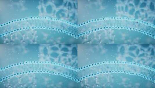 磷脂双分子细胞膜3D渲染高清在线视频素材下载