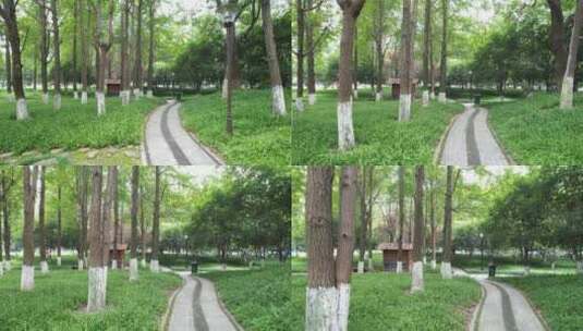 杭州江干区世纪花园公园视频高清在线视频素材下载