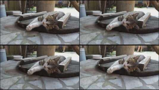 小猫躺在木板上休息睡觉高清在线视频素材下载