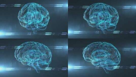 人体大脑高清在线视频素材下载