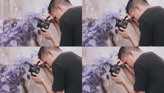 专业摄影师拍摄紫色花朵的照片高清在线视频素材下载