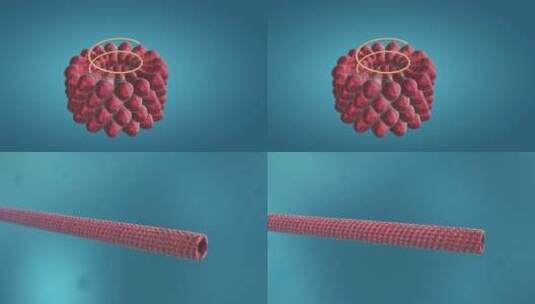 医学微观生物病毒细胞形态医疗三维动画展示高清在线视频素材下载