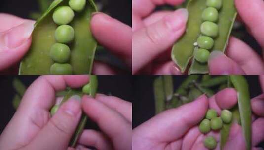 剥开带壳豌豆青豆豆子豆粒高清在线视频素材下载