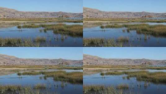 宁静的湿地景观高清在线视频素材下载