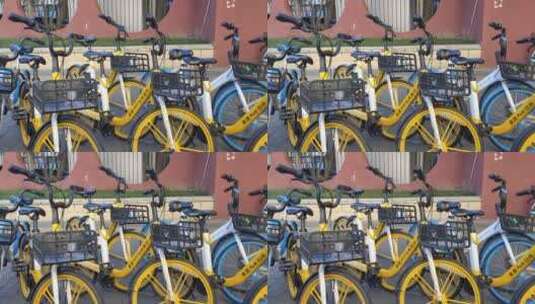 公园里的共享单车高清在线视频素材下载