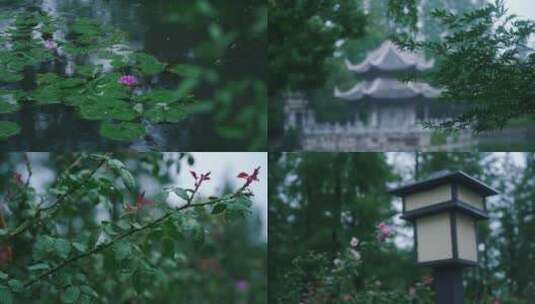 秋雨唯美树叶雨滴空镜头合集高清在线视频素材下载