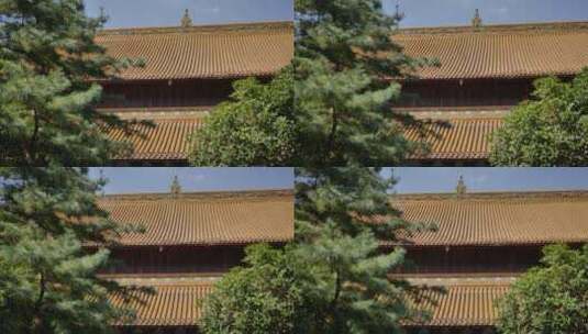 杭州古建筑人文景观高清在线视频素材下载