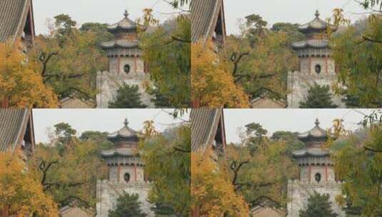 北京颐和园鼓楼秋景高清在线视频素材下载