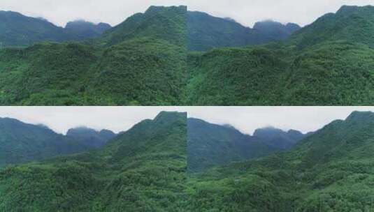 航拍峨眉山后山风景夏天青山美丽高清在线视频素材下载