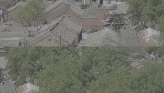 四合院鸽子 北京鸽哨 北京文化高清在线视频素材下载