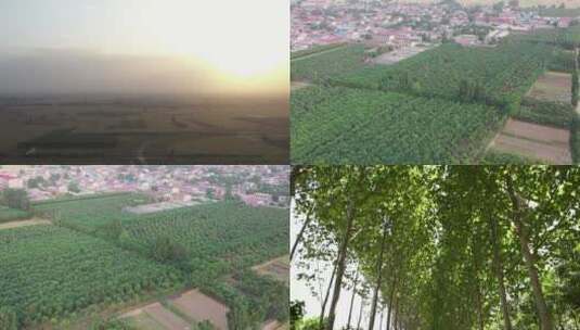 植树造林绿色田野里的村庄高清在线视频素材下载
