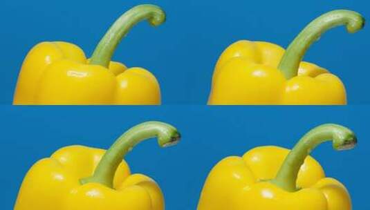成熟的黄色胡椒在美丽的蓝色背景高清在线视频素材下载
