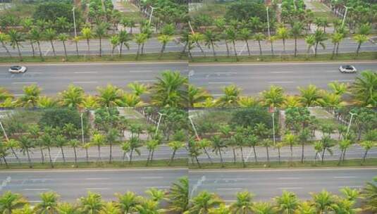 海南椰树城市道路高清在线视频素材下载